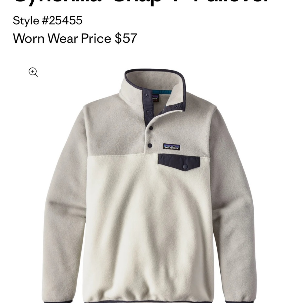 Patagonia Synchilla, Size L, Light Gray and Cream, Navy Trip VGUC